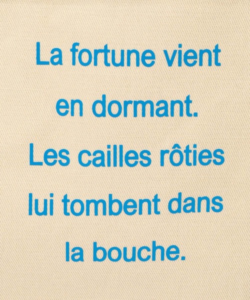 LOWRYS FARM(ローリーズファーム)の「ロゴプリントトート 636360(トートバッグ・レディース・ブルー/ブラウン/ピンク/ベージュ・FREE)」の16枚目の写真