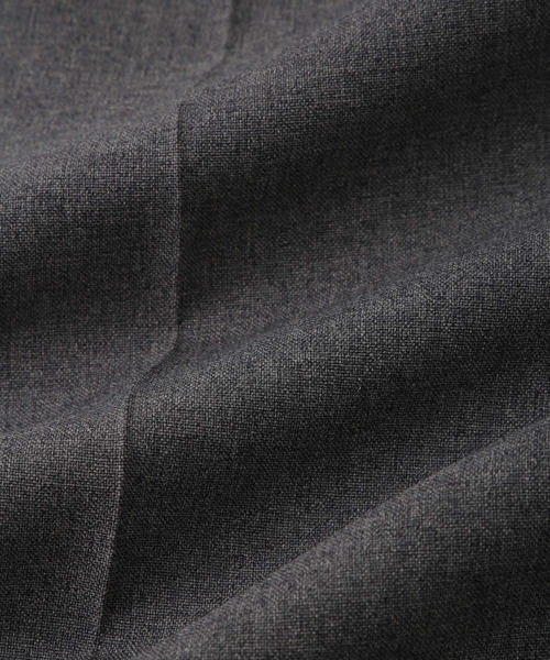 Gramicci（グラミチ）の「《別注》【GRAMICCI/グラミチ】2WAY STRETCH WIDE STRAIGHT（スラックス・メンズ・グレー/チャコールグレー/ブルー系その他4/ブラック・XL/L/M/S）」の21枚目の写真