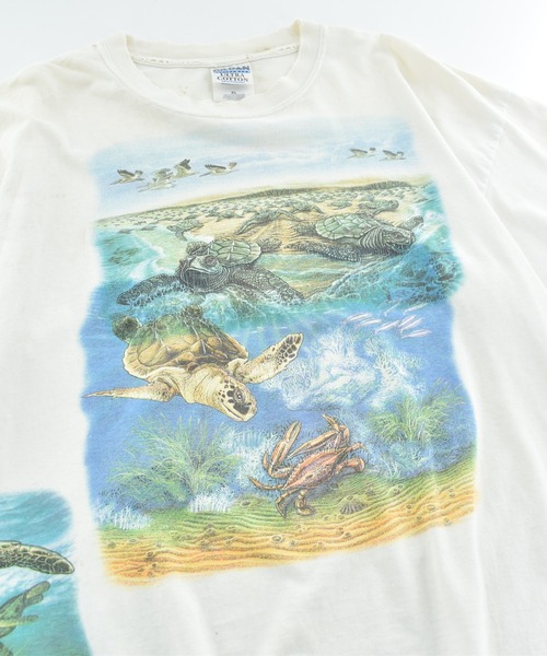 LABORATORY R（ラボラトリーアール）の「【USED】GILDAN ウミガメ アニマルTシャツ（Tシャツ/カットソー・メンズ・ホワイト・X-LARGE）」の2枚目の写真