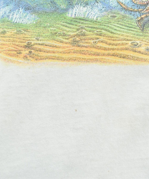 LABORATORY R（ラボラトリーアール）の「【USED】GILDAN ウミガメ アニマルTシャツ（Tシャツ/カットソー・メンズ・ホワイト・X-LARGE）」の4枚目の写真