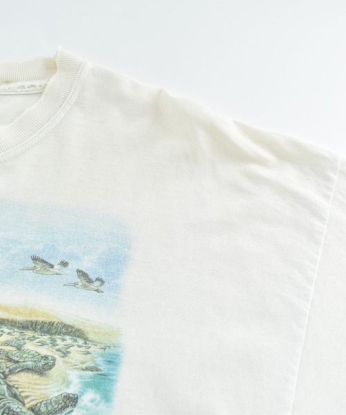 LABORATORY R（ラボラトリーアール）の「【USED】GILDAN ウミガメ アニマルTシャツ（Tシャツ/カットソー・メンズ・ホワイト・X-LARGE）」の10枚目の写真