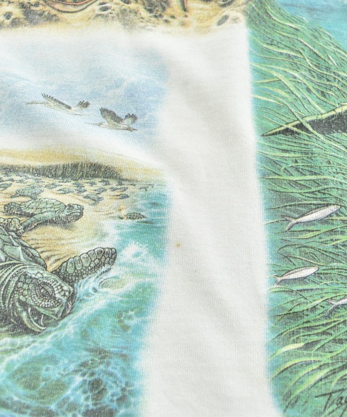 LABORATORY R（ラボラトリーアール）の「【USED】GILDAN ウミガメ アニマルTシャツ（Tシャツ/カットソー・メンズ・ホワイト・X-LARGE）」の16枚目の写真