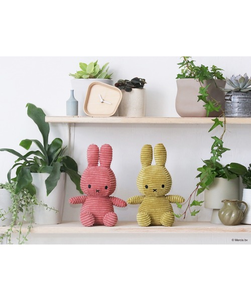 Miffy( ミッフィー)の「BON TON TOYS 23cm Miffy Corduroy(おもちゃ・レディース・グリーン系その他/ローズ・FREE)」の7枚目の写真