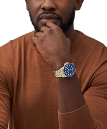 FOSSIL(tHbV)̃tHbV rv Y AiO XeX FS6034(AiOrv)
