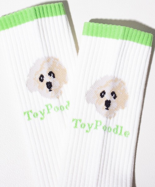 GLOSTER（グロスター）の「【GLOSTER/グロスター】 DOG&CAT ラインソックス（ソックス/靴下・メンズ・ブラウン/オレンジ/ライトグリーン/ブルー/ネイビー・FREE）」の2枚目の写真