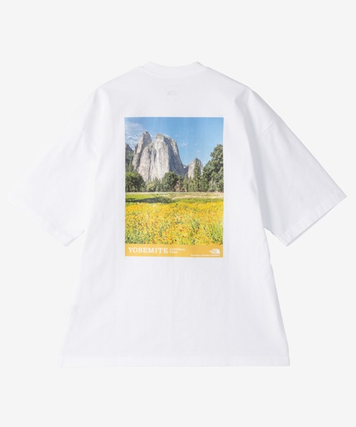 [ノースフェイス]★YOSEMITE 半そでラウンドTシャツ★男女共用★ THE NORTH FACE tシャツ S/S Yosemite Scenery Tee / ザ・ノース