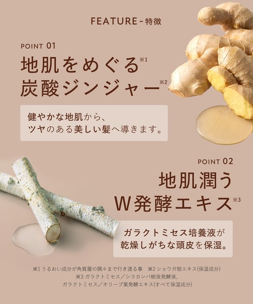 BOTANIST（ボタニスト）の「BOTANIST ROOTH ボタニスト ルース エイジングケア ボタニカル ストレート シャンプー トリートメント セット（シャンプー・レディース・ストレート・FREE）」の7枚目の写真