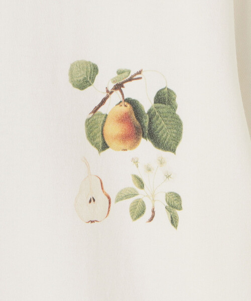 tシャツ History of Art | 「別注」プリントTシャツ FRUITS II WOMEN レディース History of Art | 〈別注〉プリントTシャツ FRUITS Ⅱ WOMEN（T