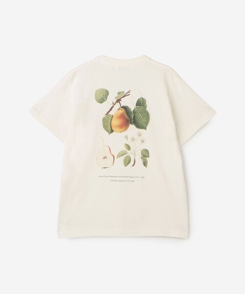 tシャツ History of Art | 「別注」プリントTシャツ FRUITS II WOMEN レディース History of Art | 〈別注〉プリントTシャツ FRUITS Ⅱ WOMEN（T