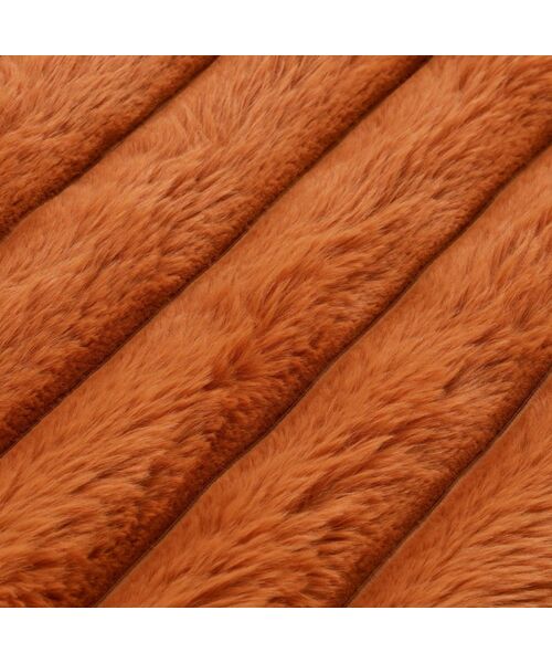 Francfranc（フランフラン）の「ヒーター付きブランケット ブラウン（生活家電・レディース・ブラウン・FREE）」の5枚目の写真