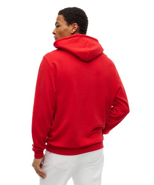 tommy jeans(トミー ジーンズ)の「【オンライン限定】ユニセックス レギュラーエントリーシグネチャーパーカー(パーカー・メンズ・レッド系7/ブラック/ライトグレー系1・MEDIUM/SMALL/X-LARGE/LARGE)」の16枚目の写真