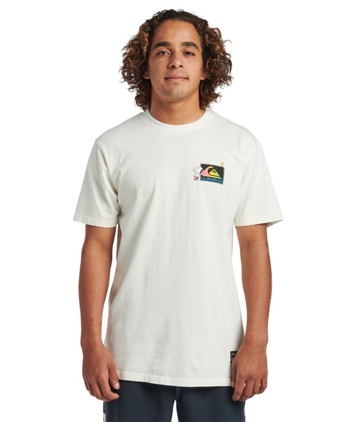 QUIKSILVER Tシャツ セール】HIBISCUS ST/クイックシルバーバックプリントロゴ半袖T