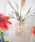 journal standard Furniture iW[iX^_[ht@j`[j́uGLASS VASE ROBBIA@t[x[X Ԋ ԕrit[x[XjvbIW