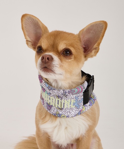 MANDARINE BROTHERS（マンダリンブラザーズ）の「CCLネッククーラー/S