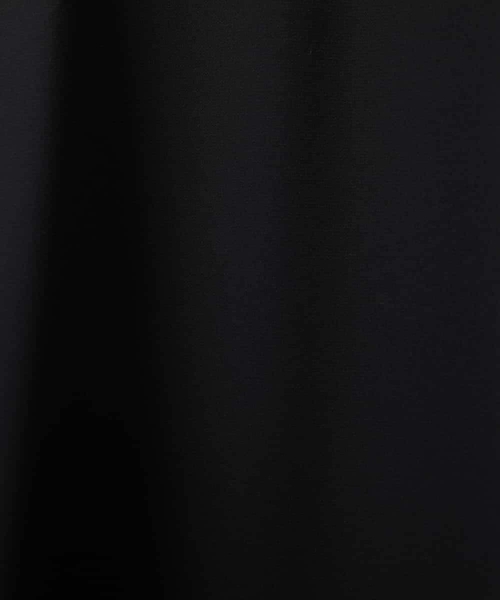 MICHEL KLEIN(ミッシェル・クラン)の「袖口パールワンピース(ワンピース・レディース・ブラック/グレー・38)」の10枚目の写真