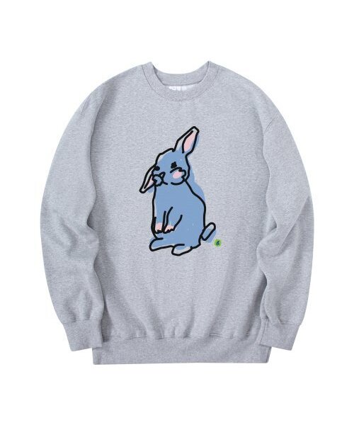 RADINEO(ラディネオ)の「ラビット スウェット グレー(スウェット・メンズ・その他・LARGE/MEDIUM/X-LARGE)」の1枚目の写真