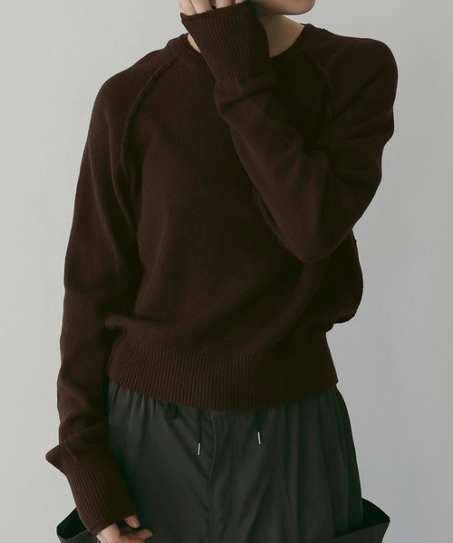 anuke(アンヌーク)の「Raglan Crewneck Knit(ニット/セーター・レディース・ブラウン/ライトグリーン/ナチュラル・FREE)」の2枚目の写真