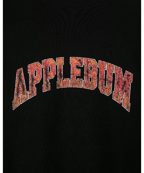 APPLEBUM(アップルバム)の「Vintage logo T-shirt(Tシャツ/カットソー・メンズ・ブラック・XX-LARGE/X-LARGE/LARGE/MEDIUM)」の3枚目の写真