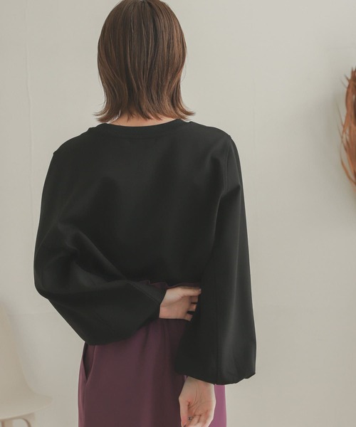 SENSE OF PLACE by URBAN RESEARCH（センスオブプレイスバイアーバンリサーチ）の「ボリュームスリーブスウェットプルオーバー（スウェット・レディース・キャメル/ブラック/ライトベージュ/ライトブルー・ONE）」の9枚目の写真