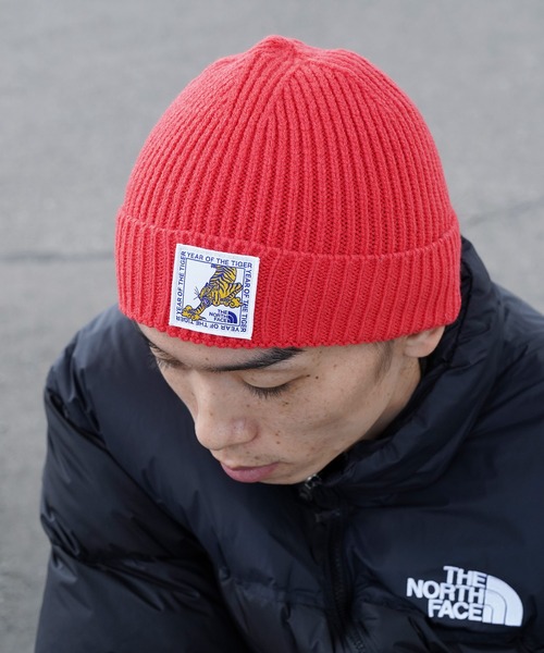 THE NORTH FACE(ザノースフェイス)の「【 海外流通モデル 】 THE NORTH FACE / ザ ノースフェイス TNF LOGO BOX CUFFED BEANIE ニット帽 ビーニー(ニットキャップ/ビーニー・メンズ・ロイヤルブルー/レッド系その他2/ピンク系その他/レッド系その他/ブルー/ブラック系その他/杢グレー/ブラック/サックスブルー/ピンク・FREE)」の16枚目の写真