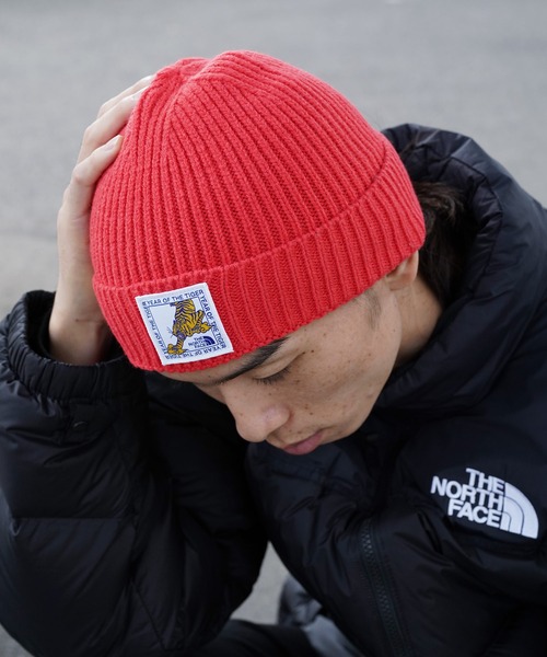 THE NORTH FACE(ザノースフェイス)の「【 海外流通モデル 】 THE NORTH FACE / ザ ノースフェイス TNF LOGO BOX CUFFED BEANIE ニット帽 ビーニー(ニットキャップ/ビーニー・メンズ・ロイヤルブルー/レッド系その他2/ピンク系その他/レッド系その他/ブルー/ブラック系その他/杢グレー/ブラック/サックスブルー/ピンク・FREE)」の15枚目の写真