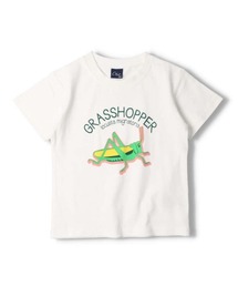 Crescent（クレッセント）の「昆虫プリント半袖Ｔシャツ（Tシャツ/カットソー）」