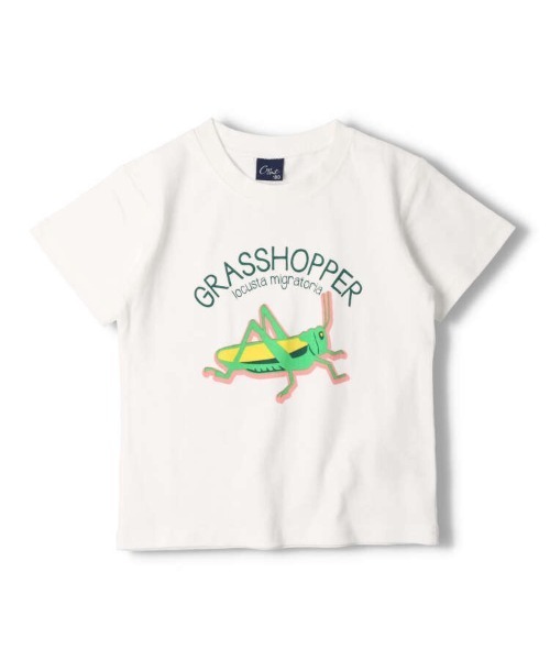Crescent(クレッセント)の「昆虫プリント半袖Tシャツ(Tシャツ/カットソー・キッズ・ブルー/その他1/その他7/オレンジ/その他3・80/90/100/110/95/120/130)」の5枚目の写真