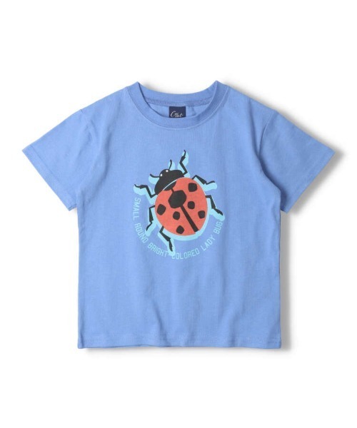 【新品未使用】昆虫半袖Tシャツ6枚セット Tシャツ - INSECT MARKET（インセクトマーケット） - 昆虫と学び