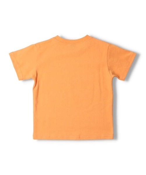 Crescent(クレッセント)の「昆虫プリント半袖Tシャツ(Tシャツ/カットソー・キッズ・ブルー/その他1/その他7/オレンジ/その他3・80/90/100/110/95/120/130)」の9枚目の写真