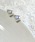 fiere�i�t�B�G�[���j�́u�I�[�����n�[�g�s�A�X�i�s�A�X�i�����p�j�j�v�b�z���C�g