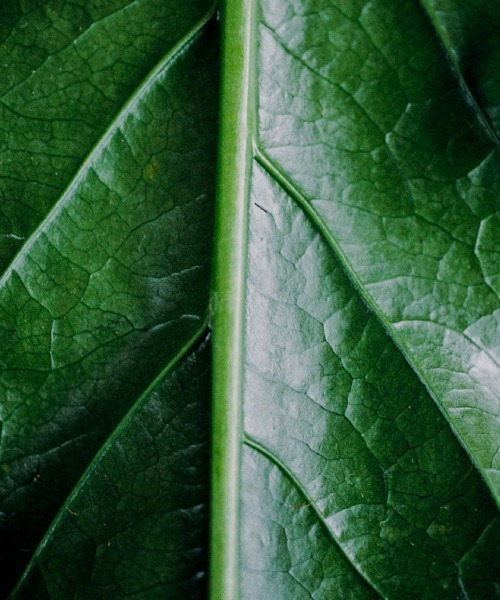 LIDNM（リドム）の「Llife RIPPLE CHAIN RING（リング・メンズ・シルバー・#18/#16/#14）」の5枚目の写真