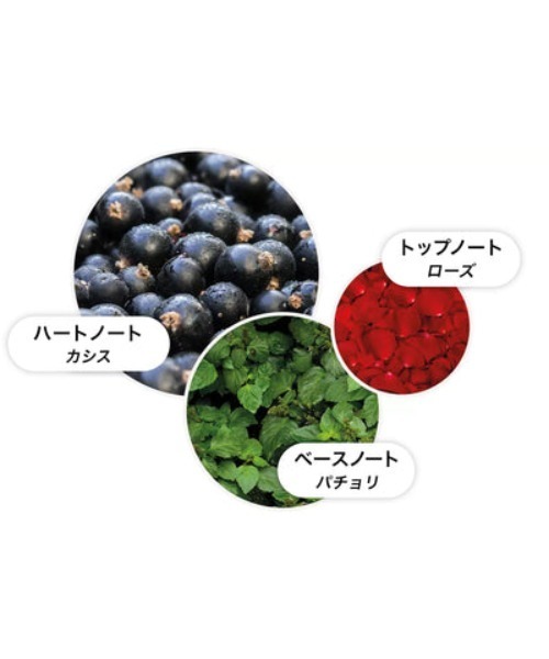 ローズデューン オードトワレ 100ml｜モルトンブラウン MOLTON BROWN