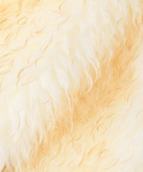 U by SPICK&SPAN（ユーバイスピックアンドスパン）の「フェイクファー