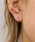 ear PAPILLONNERiCApslj́usLb`X/AM[Ή/XeXt~j~jNX^sAXisAXipjjvbVo[