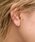 ear PAPILLONNERiCApslj́usLb`X/AM[Ή/XeXt~j~jNX^sAXisAXipjjvbS[h