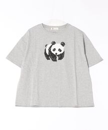 (BD)【BARNDOOR】フロント プリント Tシャツ
