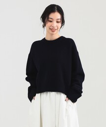 Demi-Luxe BEAMS | 7ゲージ ウール クルーネック プルオーバー［手洗い可］(ニット/セーター)