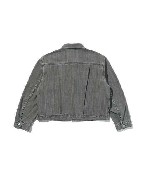 Levi's(リーバイス)の「Levi's/リーバイス BLUETAB(TM) TYPEⅠトラッカージャケット(デニムジャケット・メンズ・ブラック・S/M/L/XL)」の10枚目の写真
