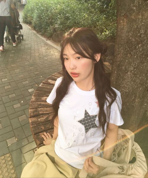 OURSAYSOUR（アワーセイアワー）の「チェックツースターアップリケ刺繍半袖Tシャツライトピンク（Tシャツ/カットソー・レディース・ライトピンク・FREE）」の7枚目の写真