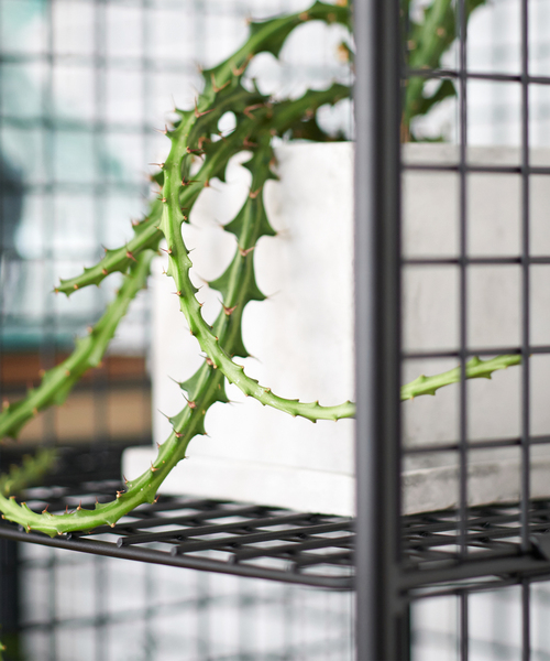 journal standard Furniture （ジャーナルスタンダードファニチャー）の「PAXTON MESH RACK 3 GRID パクストン メッシュ ラック 3（家具・レディース・その他・FREE）」の10枚目の写真