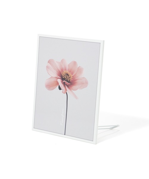 アート テーブル グラフィックフラワー M ピンク（家具）｜Francfranc