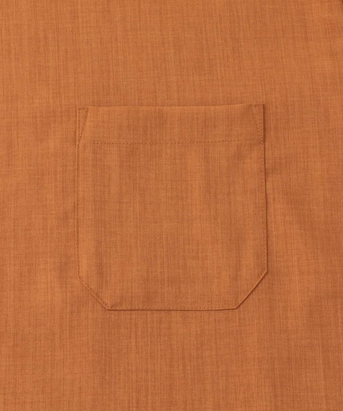 URBAN RESEARCH Sonny Label(アーバンリサーチサニーレーベル)の「リネンタッチ布帛ショートスリーブTシャツ(Tシャツ/カットソー・メンズ・スミクロ/ブラウン/ライトグレー/オレンジ・LARGE/MEDIUM)」の22枚目の写真