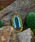 DULTONi_gj́uPINS/sobWiobWjvb̑2