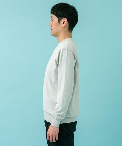 URBAN RESEARCH DOORS（アーバンリサーチドアーズ）の「LIFE STYLE TAILOR　ハイゲージクルーネック長袖ニット（ニット/セーター・メンズ・ホワイト系その他/ブラウン系その他/グレー・MEDIUM/LARGE）」の17枚目の写真