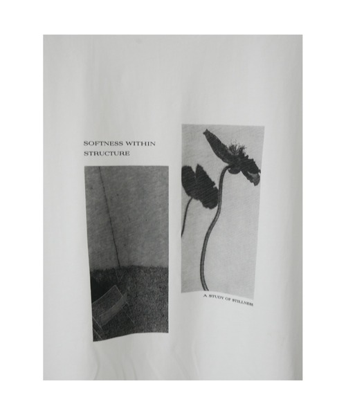 TRUNC(トランクエイティーエイト)の「2Way Photo Print French Sleeve Tee(Tシャツ/カットソー・レディース・オフホワイト/ブラック・FREE)」の6枚目の写真