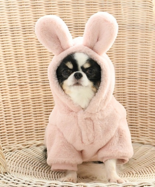 ROPE' PICNIC（ロペピクニック）の「ROPE' PICNIC/うさみみフリースフーディー（ペットウェア・レディース・ベージュ/ホワイト/ピンク・S/M/2M/2L/2XS/XS/L）」の5枚目の写真