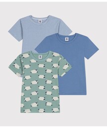 PETIT BATEAU(v`og[)̔sVcRg(Ci[EFA/)
