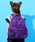 ANNA SUI miniiAiXCE~jj́uqlR|[`lRbNiobNpbN/bNjvbp[v