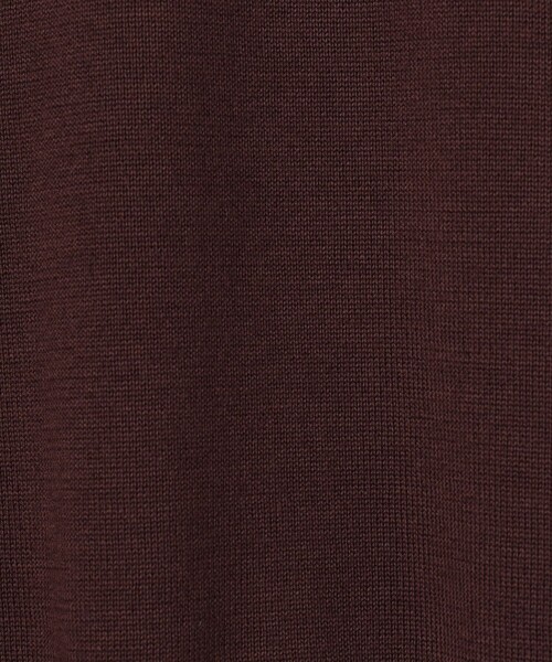 TOMORROWLAND (トゥモローランド)の「TOMORROWLAND tricot スーパーファインメリノウール Vネックプルオーバー S-WOOL(ニット/セーター・メンズ・ネイビー/ボルドー/グリーン/チャコールグレー・L/M/S/XS)」の16枚目の写真