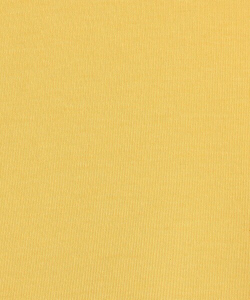 v::room（ヴィルーム）の「V;room シアータートルネックプルオーバー（Tシャツ/カットソー・レディース・イエロー/ライトグレー/ホワイト/ブラウン・1）」の13枚目の写真